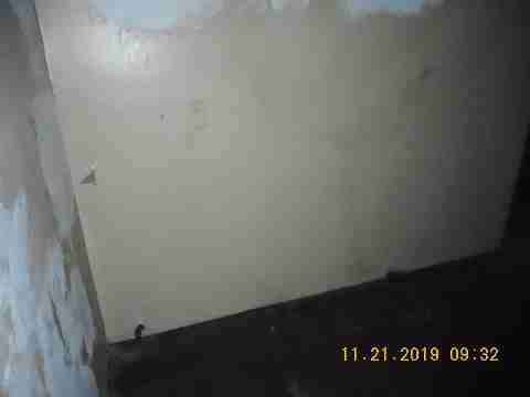 14220 Burt (18)_m.jpg